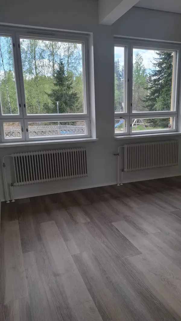 Asuinhuoneen ikkunanäkymä — koivut, luonto ja piha-alue