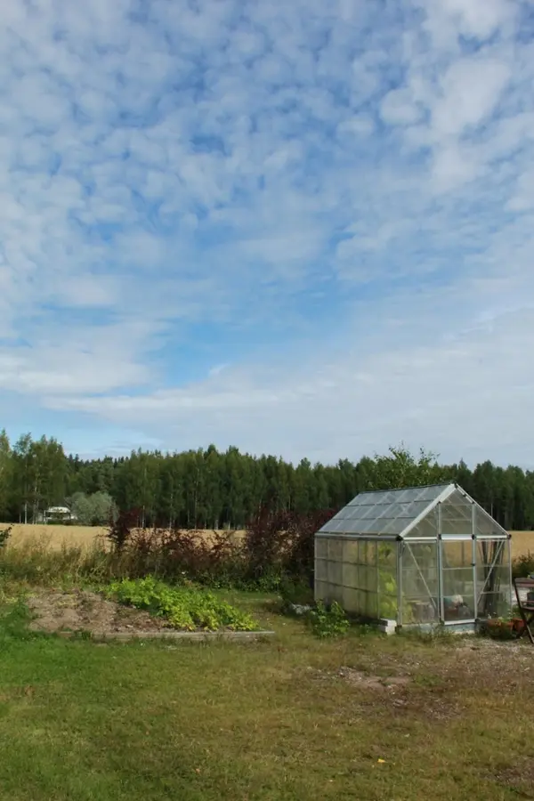 Manskiven kasvihuone ja kasvimaa peltomaiseman reunassa